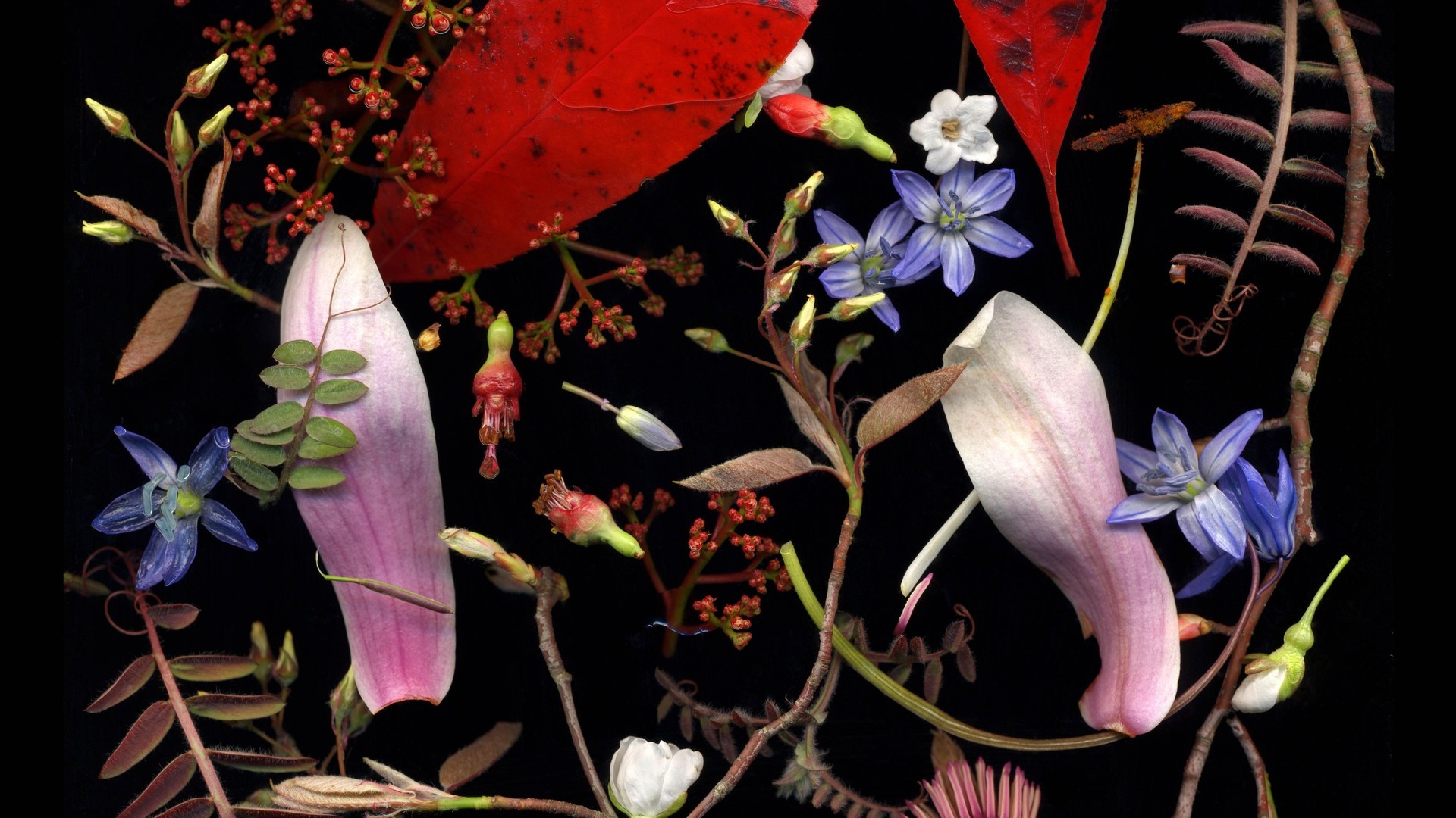 Опубликован шорт-лист конкурса Sony World Photography Awards 2017