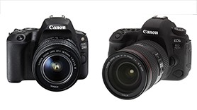 Представлены Canon EOS 200D и Canon EOS 6D mark II