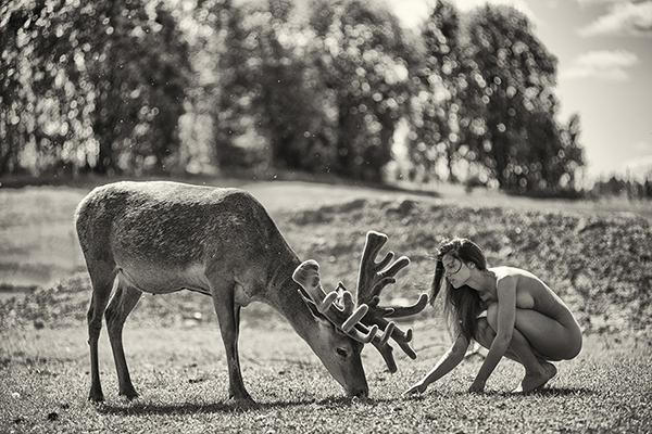 Лучшие монохромные фотографии 2016 года